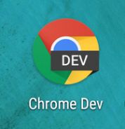 谷歌浏览器Chrome dev版 v120.0.6099.71官方测试版