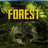 森林游戏修改器下载_森林十项修改器绿色版