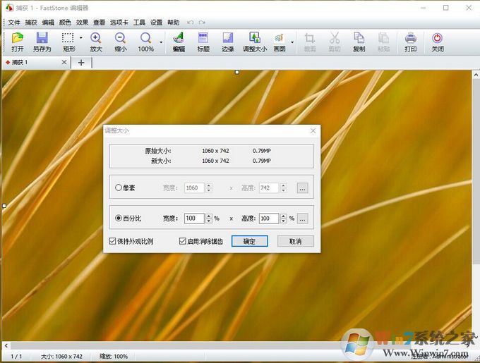 FastStone Capture截图软件 V9.4中文版