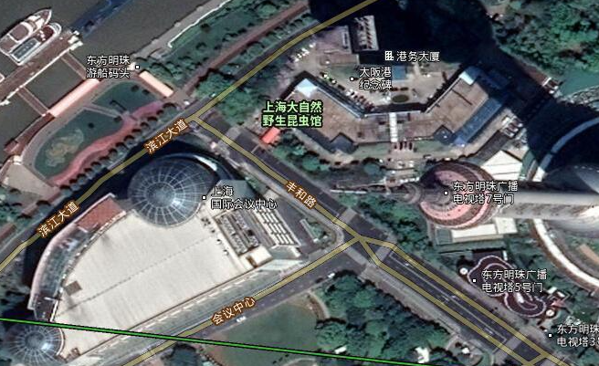 谷歌地图2023高清卫星地图 V2023绿色汉化版